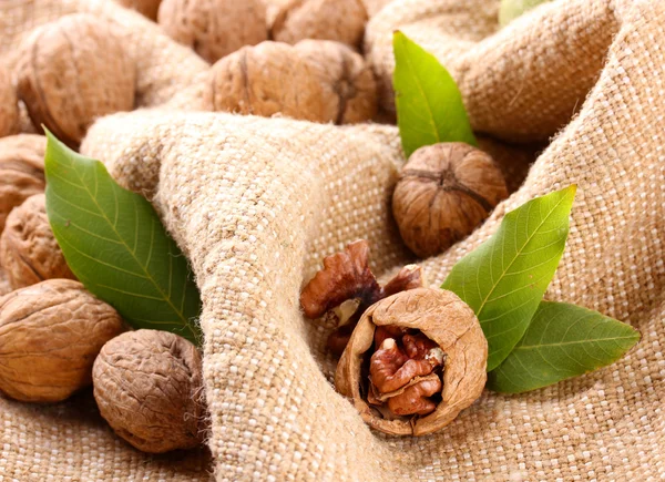 Nueces con hojas verdes, sobre fondo de arpillera — Foto de Stock