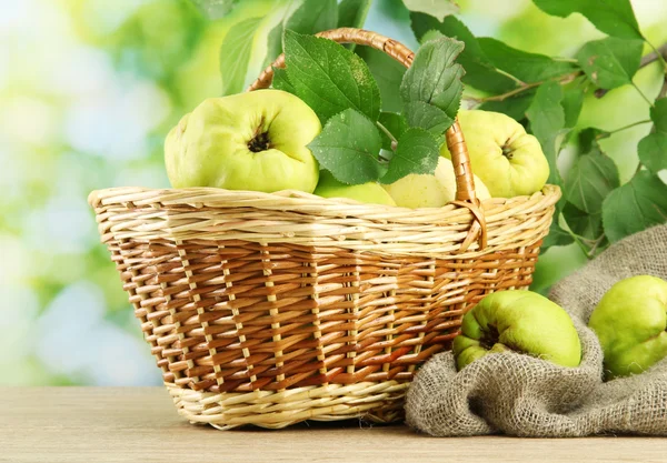 Marmelos doces com folhas em cesta, em fundo verde — Fotografia de Stock