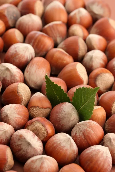 Nocciole saporite con foglie, primo piano — Foto Stock