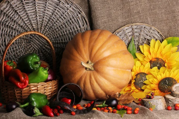 Excelente naturaleza muerta de otoño con calabaza en el saqueo —  Fotos de Stock