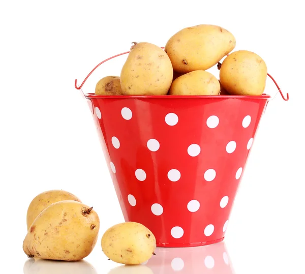 Batatas maduras em balde vermelho isolado em branco — Fotografia de Stock