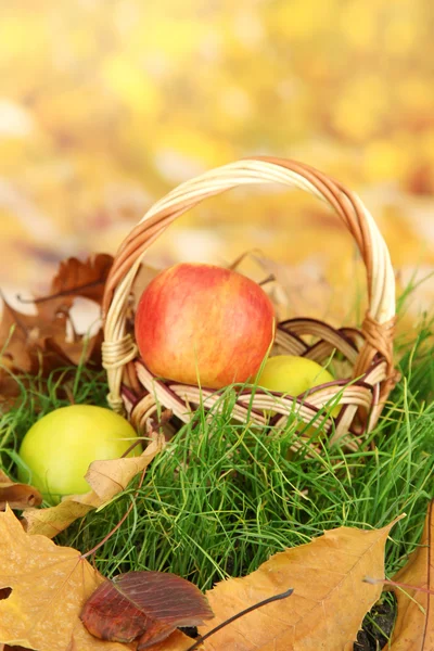 Äpfel im Weidenkorb auf Gras auf hellem Hintergrund — Stockfoto