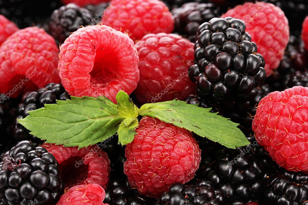 background of beautiful berries with leaves |图库照片08olga