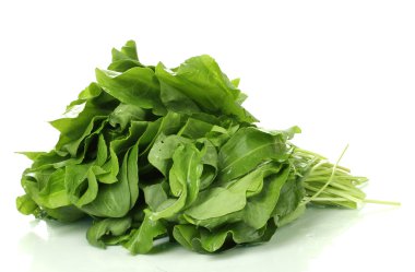 taze kuzukulağı üzerinde beyaz izole