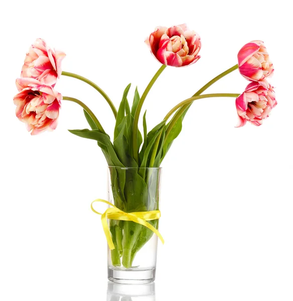 Tulipas bonitas em vaso isolado em branco — Fotografia de Stock