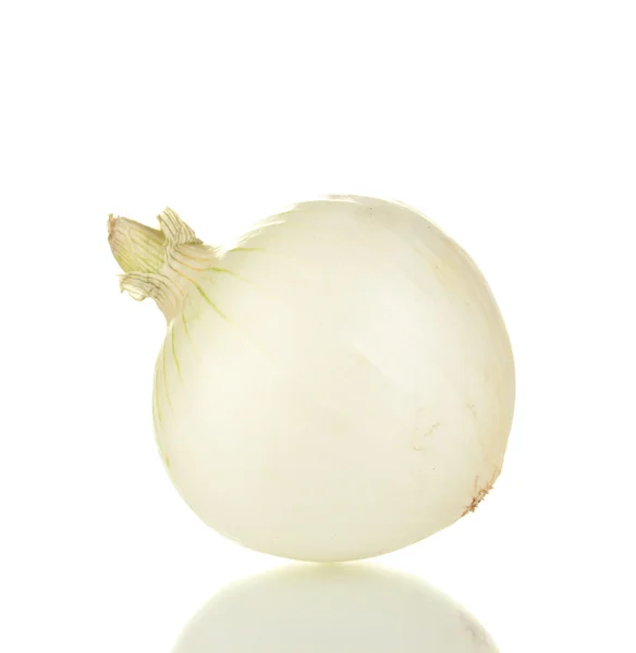Cebola branca isolada sobre fundo branco — Fotografia de Stock