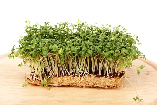 Fresh cress salad on wooden board isolated on white — Stock Photo, Image