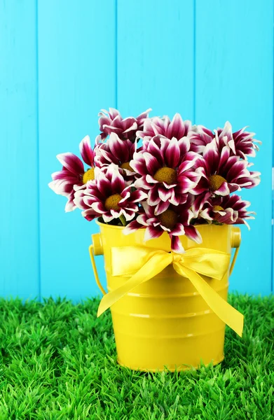 Beautiful bouquet of chrysanthemums in a bright colorful bucket on blue fence background — Stock Photo, Image