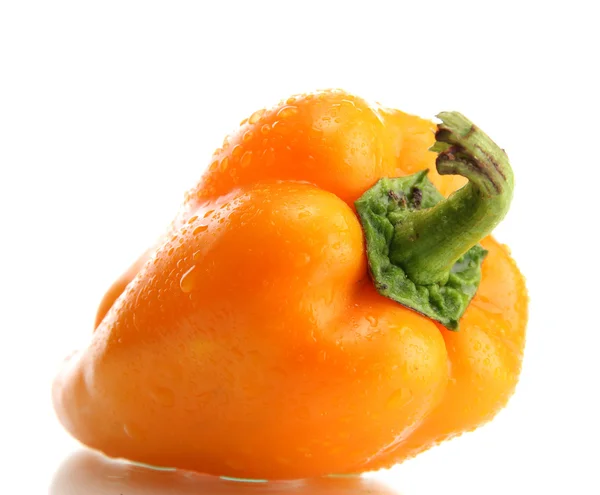 Gelber Paprika, isoliert auf weißem Papier — Stockfoto