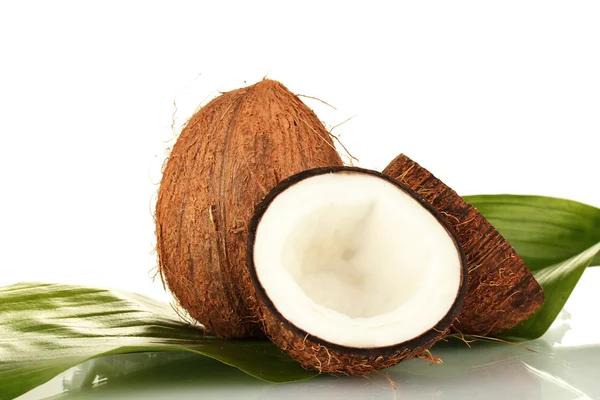 Kokosnüsse mit grünem Blatt auf weißem Hintergrund Nahaufnahme — Stockfoto