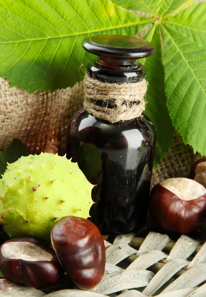 Medicine bottle with chestnuts and leaves, on green background — Stock Photo, Image