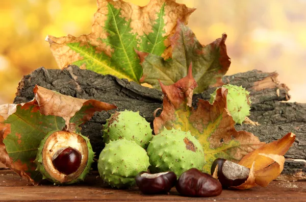 Castanhas com folhas secas de outono e casca — Fotografia de Stock