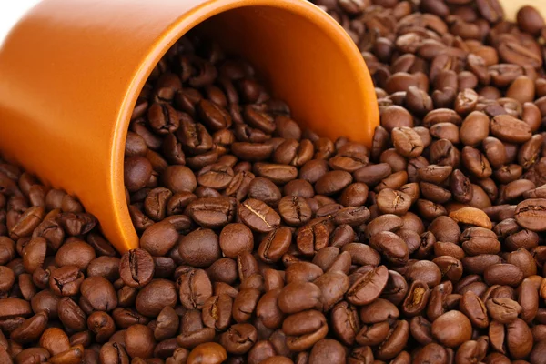 Coffee beans and cup close-up — Stock Photo, Image