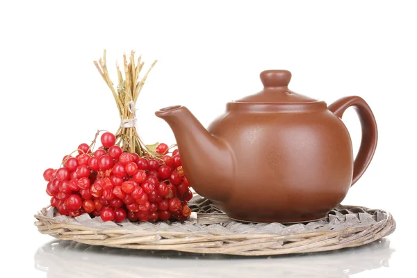Te med röd viburnum isolerad på vit — Stock fotografie