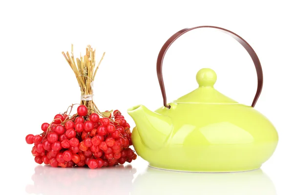 Чай с красным viburnum изолированы на белом — стоковое фото