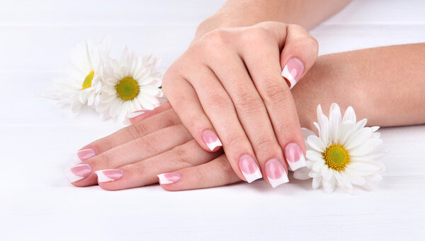 Woman hands with french manicure and flowers on white wooden background