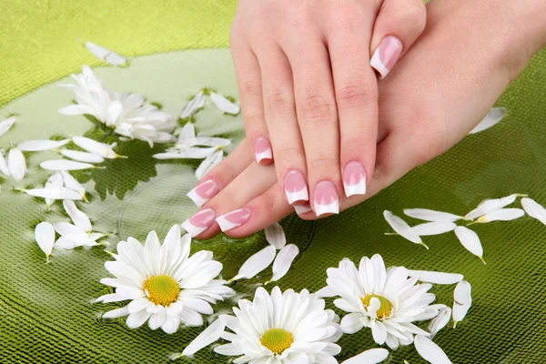 Mãos de mulher com manicure francês e flores em tigela verde com água — Fotografia de Stock