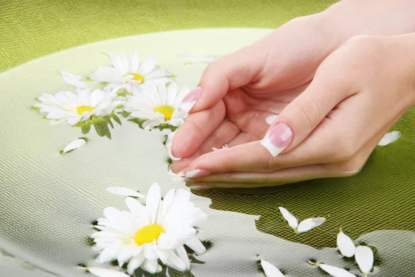 Woman hands with french manicure and flowers in green bowl with water — Stock Photo, Image