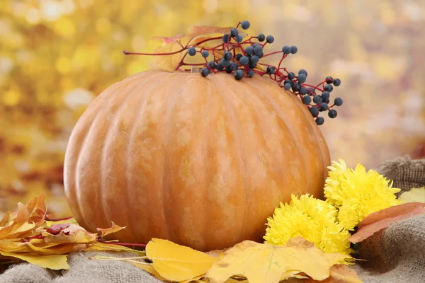 Calabaza y hojas de otoño, sobre fondo amarillo —  Fotos de Stock