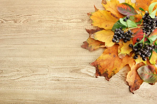 Heldere herfstbladeren en wilde bessen, op houten achtergrond — Stockfoto