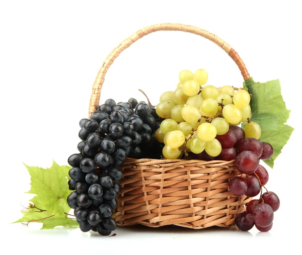 Sortimento de uvas doces maduras em cesta, isoladas em branco — Fotografia de Stock