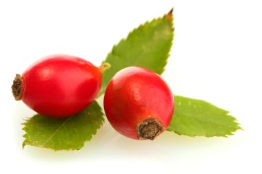 Olgun kalça gül beyaz izole yeşil yaprakları üzerinde