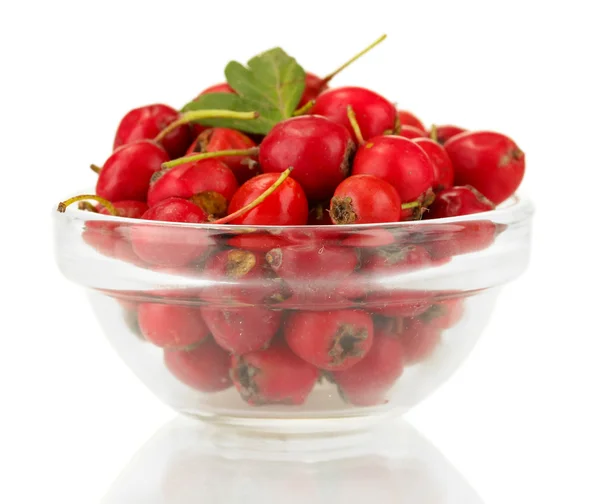 Hawthorn in glass bowl isolated on white — Stock Photo, Image