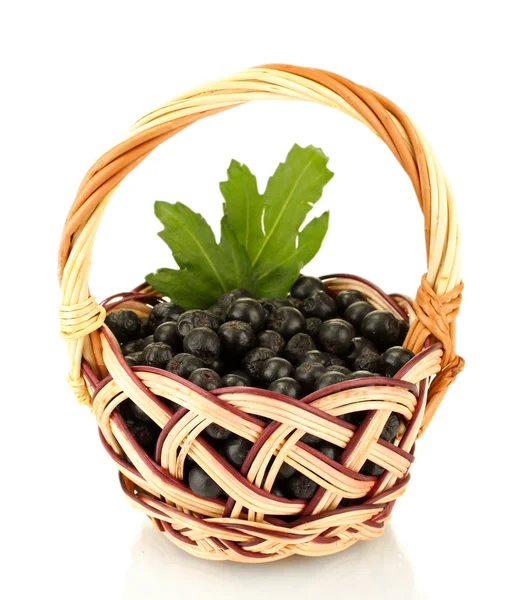 Chokeberry üzerinde beyaz izole hasır sepet içinde yeşil yaprakları ile — Stok fotoğraf
