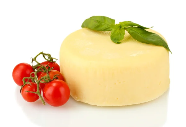 Käse-Mozzarella mit Gemüse und Kräutern isoliert auf weiß — Stockfoto