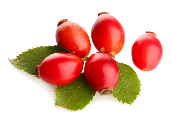 Rosas maduras de la cadera sobre hojas verdes, aisladas sobre blanco — Foto de Stock