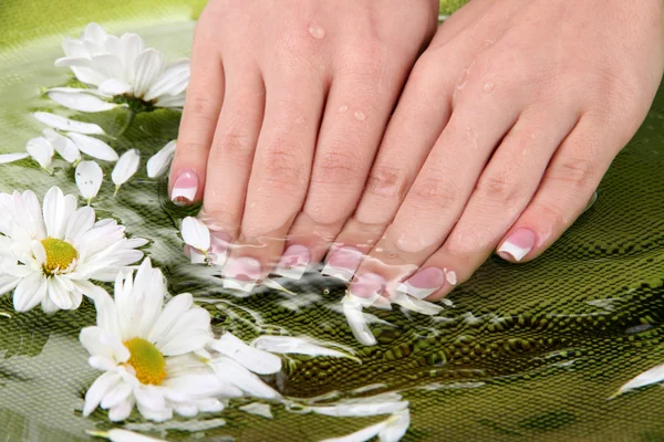 Mãos de mulher com manicure francês e flores em tigela verde com água — Fotografia de Stock