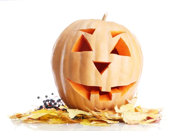 Halloween pumpkin and autumn leaves, isolated on white — Stock Photo, Image