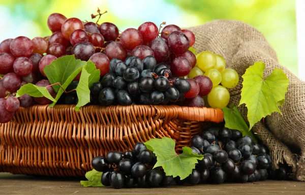 Sortimento de uvas doces maduras em cesta, em fundo verde — Fotografia de Stock