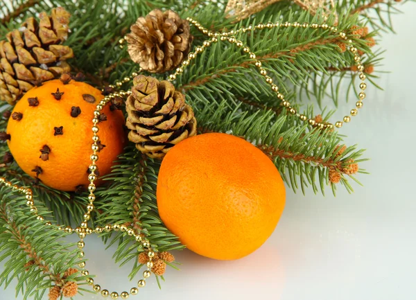 Fenyő, elszigetelt fehér és narancs karácsonyi összetétele — Stock Fotó