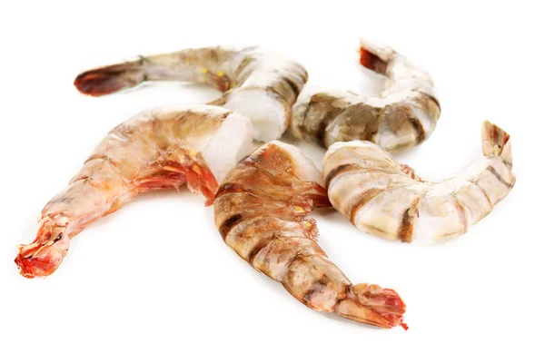 Prawns isolated on white — Stock Photo, Image