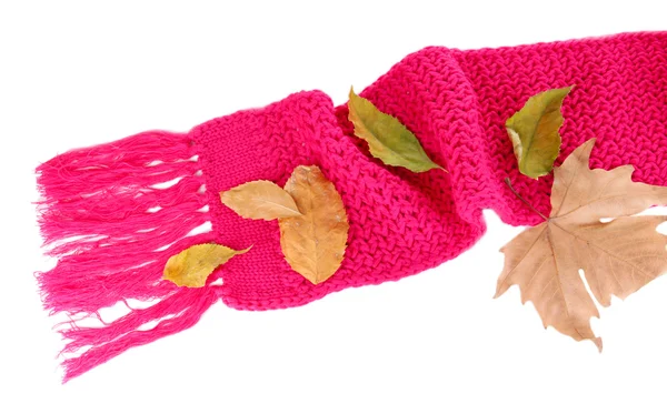 Sciarpa a maglia calda rosa con fogliame autunnale isolato su bianco — Foto Stock
