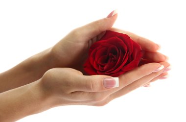 güzel kadını elleriyle gül, beyaz izole