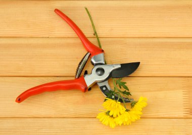secateurs ahşap zemin çiçek