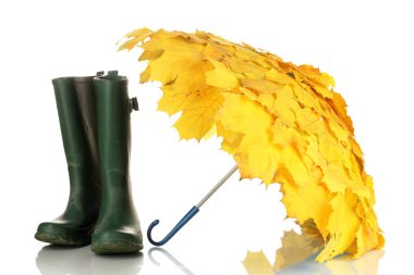 akçaağaç yaprakları şemsiye ile üzerine beyaz izole yeşil gumboots