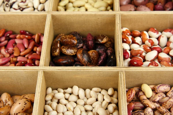 Diverse beans in wooden box sections close-up — Stock Photo, Image