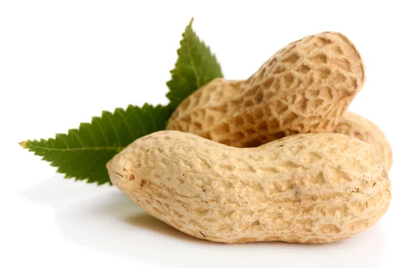 Arachides savoureuses avec des feuilles, isolées sur blanc — Photo