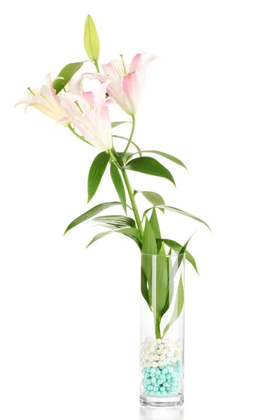 흰색 절연 유리 꽃병에 아름 다운 백합 — 스톡 사진