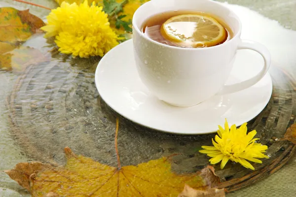 Copo de bebida quente e folhas de outono, close-up — Fotografia de Stock