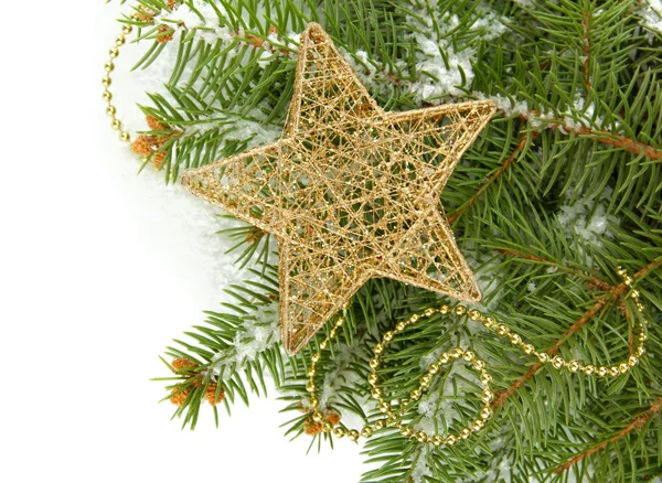 Рождественская звезда на елке со снегом, изолированная на белом — стоковое фото