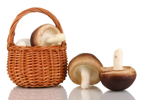 新鲜蘑菇在篮子上白色隔离 — 图库照片