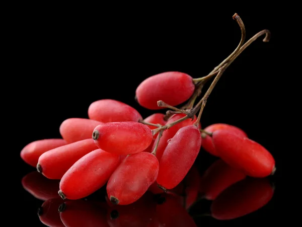 Ripe barberries on branch on black background — Stock Photo, Image