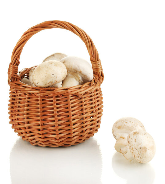 Свежие грибы в корзине изолированы на белом
