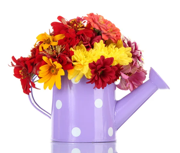 Bouquet of beautiful summer flowers in watering can, isolated on white — Stock Photo, Image
