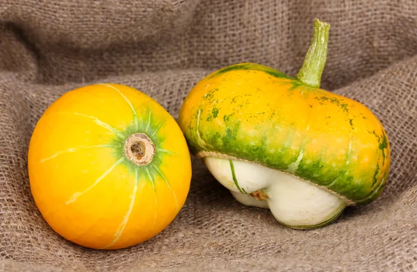 Two pumpkins on sackcloth close-up — Stock Photo, Image