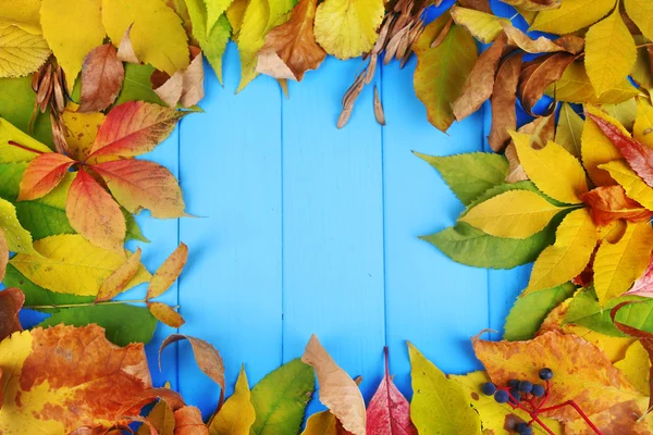 Bright autumn leaves on blue wooden board background — Stock Photo, Image